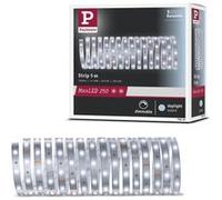 MaxLED 250 Strip LED Extension 5m 6500K 19W 300lm/m 6500K Argent G
