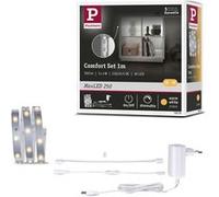 Paulmann 78895 LED Strips MaxLED 250 Regal Comfort kit de base 1m 300lm/m 30LEDs/m incl. 1x4W gradable bande lumineuse Argent plastique 2700K