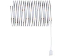 MaxLED 500 Strip LED COB Kit de base 3m 6500K 19W 600lm/m 6500K 36VA Argent G