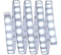 Paulmann MaxLED 500 70667 Ruban LED (Base) avec connecteur mâle 24 V 1.5 m blanc lumière du jour 1 pc(s)