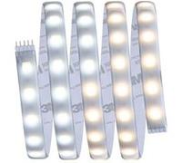 Paulmann MaxLED Tunable White 70623 Ruban LED (Base) avec connecteur mâle 24 V 1.5 m blanc chaud, blanc neutre, blanc lumière du