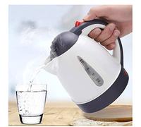 Maxmartt Bouilloire électrique pour voiture 1 l - Allume-cigare 12 V CC - Arrêt automatique (1000 ml - Bouilloire électrique 12 V)