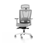 MAXMOUNT Nexus Chaise de bureau ergonomique, de qualité supérieure, avec appuie-tête réglable, fonction basculante, chaise de jeu, fauteuil de bureau en maille, gris et blanc