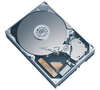 Maxtor 7Y250P0 Disque Dur Interne 7200 TR/Min Mémoire 8 Mo IDE Capacité 250 Go