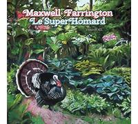 Maxwell Farrington - I Had It All (Vinyl Noir)
