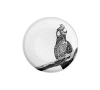 Maxwell & Williams DX0533 Marini Ferlazzo Assiette en céramique de qualité supérieure Noir/blanc