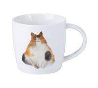Maxwell & Williams Feline Friends DX1222 Tasse en porcelaine Multicolore 400 ml