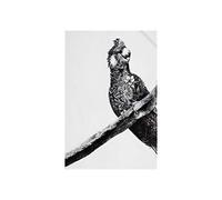 Maxwell & Williams - Serviette de Table 100% Coton, Imprimé Fleuri de Cacatoès à Rectrices Blanches, Collection Marini Ferlazzo, 50 x 70 cm - Noir et Blanc