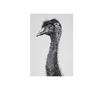 Maxwell & Williams - Serviette de Table 100% Coton, Imprimé Fleuri d'Émeu, Collection Marini Ferlazzo, 50 x 70 cm - Noir et Blanc