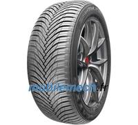 Maxxis Pneus auto Premitra All Season AP3 205/55 R16 91H Toutes saisons