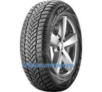 Pneu Maxxis Victra Snow SUV MA-SW 245/70 R 16 107 H