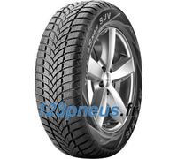 Maxxis Victra Snow SUV MA-SW ( 265/60 R18 114V XL, avec rebord protecteur de jante (FSL) )