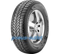 Maxxis WP-05 Arctictrekker ( 145/70 R12 69T )