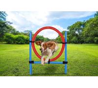maxxpro Agility Bague - Set Agility pour Chien - 85 x 3 cm - Plastique - Bleu/Rouge