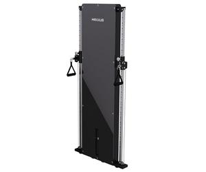 MAXXUS® SmartGym H8, Machine à poulie Murale 50 kg, 26 Positions