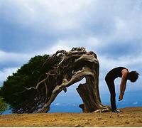 Another World Édition Limitée Coffret