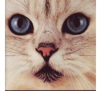 May Day - Abduldalilai [Import]