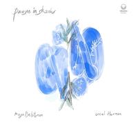 Maya Belsitzman And Uriel Herman - Maya Belsitzman and Uriel Herman-Pauses in Shades