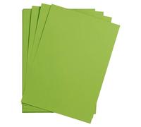 Maya paquet 25F A1 270g - Vert mousse