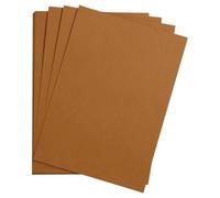 Maya paquet 25F A2 270g - Chamois