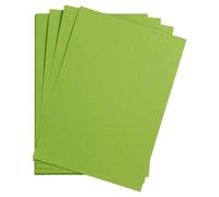 Maya rame 25F A3 185g - Vert mousse