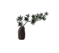 Maya Star Ikebana A17 Vase japonais en céramique pour arrangement de fleurs
