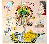 Various Artists – Maybe I'M Dreaming – Vinyle