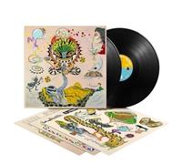 Various Artists – Maybe I'M Dreaming – Vinyle