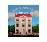 Maybe In Another Life - Vinyle 33 Tours