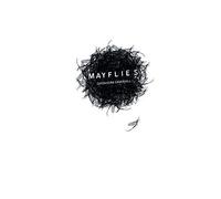 Mayflies