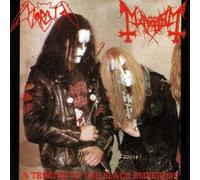 Mayhem - A Tribute to the Black Emperor [Audio CD] Mayhem und Morbid