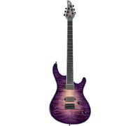 Mayones Guitars Mayones Guitars Regius 6 TPI