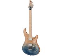 Mayones Guitars Mayones Guitars Regius Core 6 AMH
