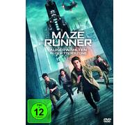 Maze Runner - Die Auserwählten in der Todeszone - Wes Ball / Dylan O'Brien - DVD - Import