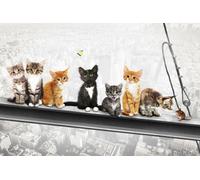 MB 31 Chats sur poutre acier New York Kittens