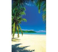 MB 55 Plages Palm Beach IntoTheBlue