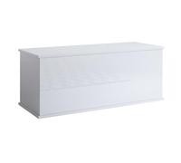 MB Muebles Bonitos, Coffre de Rangement Ariel, Grande capacité, Meuble en Mélamine Brillante, Couleur Blanc, 100x40x40 cm