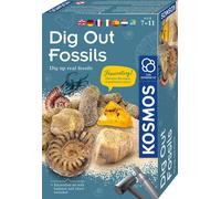 MBE Dig Out Fossils INT: Experimentierkasten