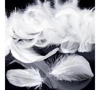 Mbsomnus 600 Pièces Plumes Blanches Plumes Loisirs Creatifs 5-12 cm pour DIY Arts Crafts Costumes Chapeaux Boucles d'oreilles Attrape-Rêves Festival Anniversaire Mariage Décoration