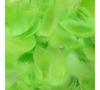 Mbsomnus 600 Pièces Plumes Vert Plumes Loisirs Creatifs 5-12 cm pour DIY Arts Crafts Chapeaux Costumes d'oreilles Boucles Attrape-Rêves Anniversaire Mariage Festival Décoration