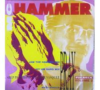 Mc Hammer - Pray - Maxi-Single - A Shep Pettibone & Junior Vasquez - Remix Vol. 2 - Vinyl