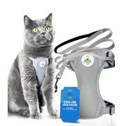 MC Royal Harnais pour Chat Premium [Comprend Une Laisse pour Chat] - Taille - Ensemble de Harnais pour Chat réglable avec Laisse - Harnais pour Chat Anti-évasion Gris