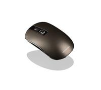 MC-WM101 - Souris - optique - 3 boutons - sans fil - 2.4 GHz - récepteur sans fil USB - brun