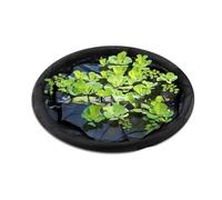 MCAOAL Île flottante - Poisson de protection des plantes - Décoration d'étang - Engrenage circulaire - Réglable - Protection de miroir d'eau