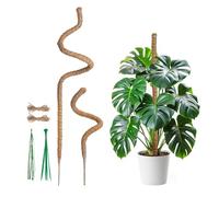 Mcbazel Monstera Moss Pole pour Plantes, Tuteur en Coir de 60cm et 120cm Flexible avec Accessoires pour la Croissance des Plantes Grimpantes, Tige en Coco Artisanale Flexible Monstera Moss Pole Plante