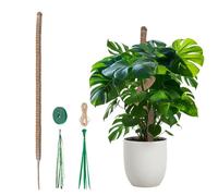 Mcbazel Tuteur Monstera en Mousse pour Plantes, Tige de Coco Flexible 120cm Version Audacieuse pour Grandes Plantes Grimpantes, Tuteur en Mousse Fait Main avec Accessoires pour Plantes d'Intérieur