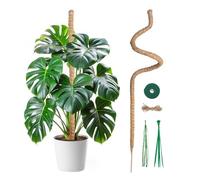 Mcbazel Tuteur Plante Grimpante Coco sur Piquet de Plante 120cm, Support Tuteur de Coco Largeur de 7mm Pliable Poteau de Croissance de Grimpantes pour Monstera/Jardin Domestique