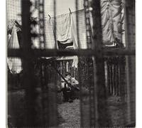 Mccartney - Chaos and Creation in The Back [Import]