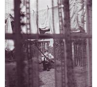 Chaos and creation in the backyard