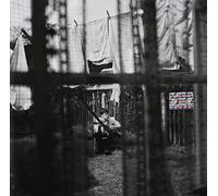 Chaos & Creation In The Backyard